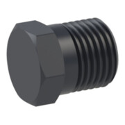 Riegler Bouchon aveugle, R 1/2 a., SW 17, PA 6-1