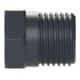Riegler Bouchon aveugle, R 1/2 a., SW 17, PA 6