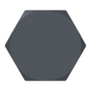 Riegler Bouchon aveugle, R 1/4 a., SW 10, PA 6-3