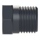 Riegler Bouchon aveugle, R 1/8 a., SW 22, PA 6