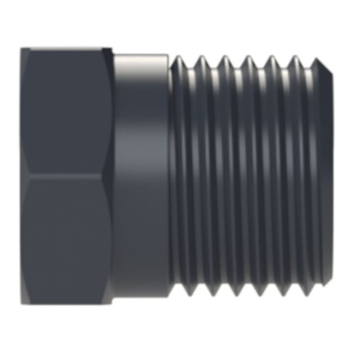 Riegler Bouchon aveugle, R 1/8 a., SW 22, PA 6