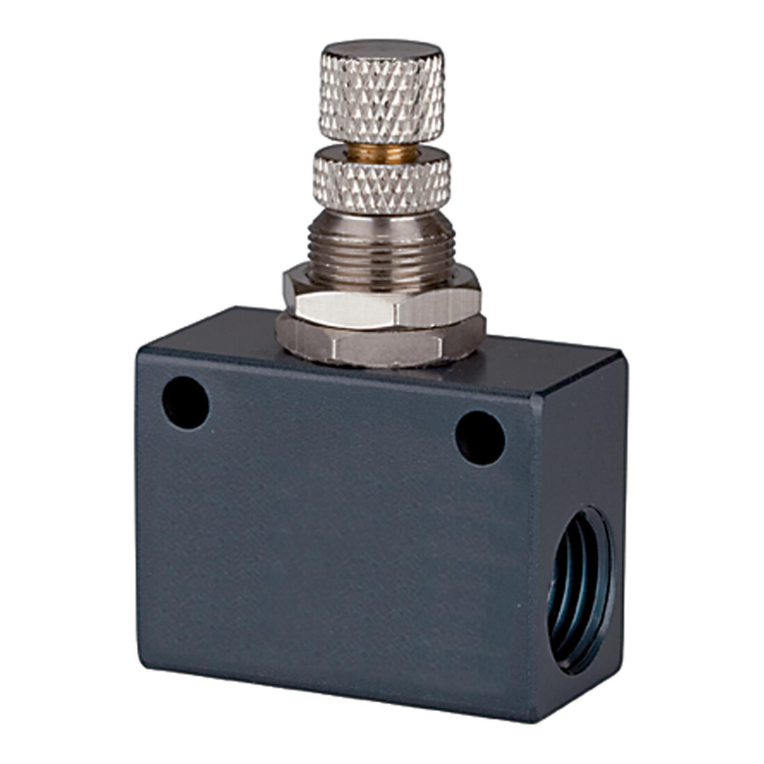 Riegler Clapet anti-retour à restriction »ASC«, bloc, aluminium, G 3/8