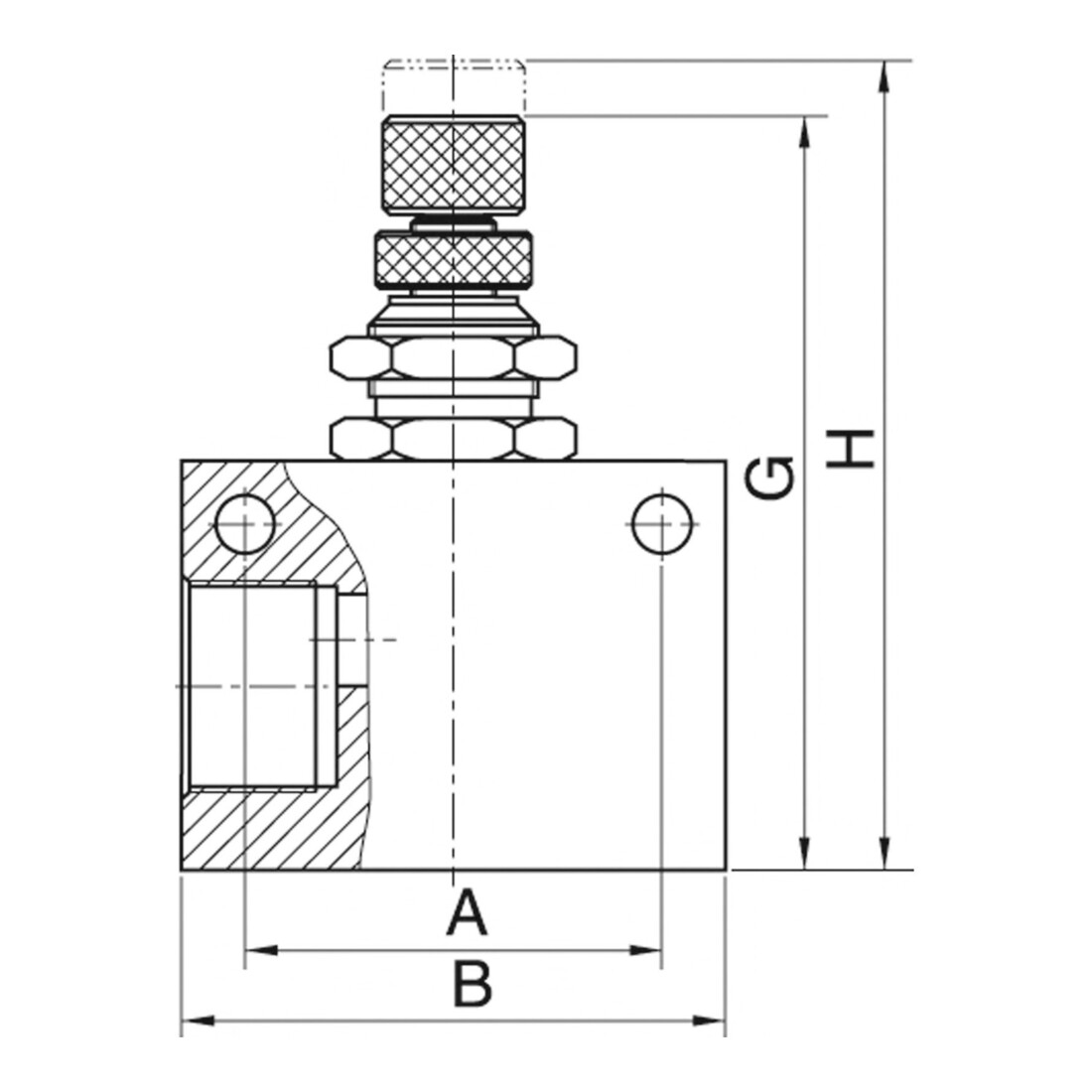 Riegler Clapet anti-retour à restriction »ASC«, bloc, aluminium, G 3/8