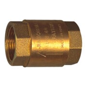 Riegler Clapet anti-retour, passage réduit, G 1 1/4, 20 mbar-1