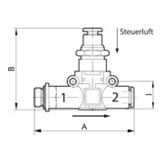 Riegler Clapet anti-retour pneum. déverrouillable fileté, G 1/8, Ø 6-2