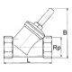 Riegler Clapet anti-retour, siège incliné, MS, Rp 1, 0,5 bar