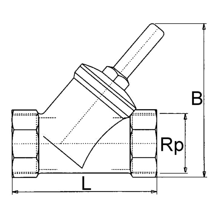 Riegler Clapet anti-retour, siège incliné, MS, Rp 1, 0,5 bar