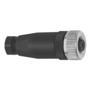 Riegler Connecteur droit, 4 pôles, sans câble-1