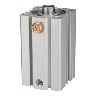 Riegler Cylindre à course courte »ASQ« simple effet, Ø piston 63, course 30, G 1/4