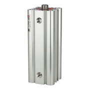 Riegler Cylindre compact LINER, double effet, Ø piston interne 100, course 20, G 1/8-1