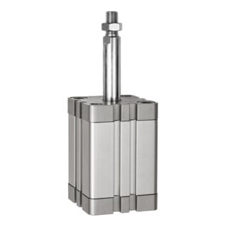 Riegler Cylindre compact, simple effet, AG, ø40, course 25, G1/8, ISO21287