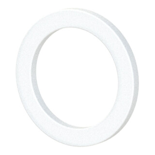 Riegler Dichtring aus PTFE, für Gewinde G 1/8, VPE 100 Stk.
