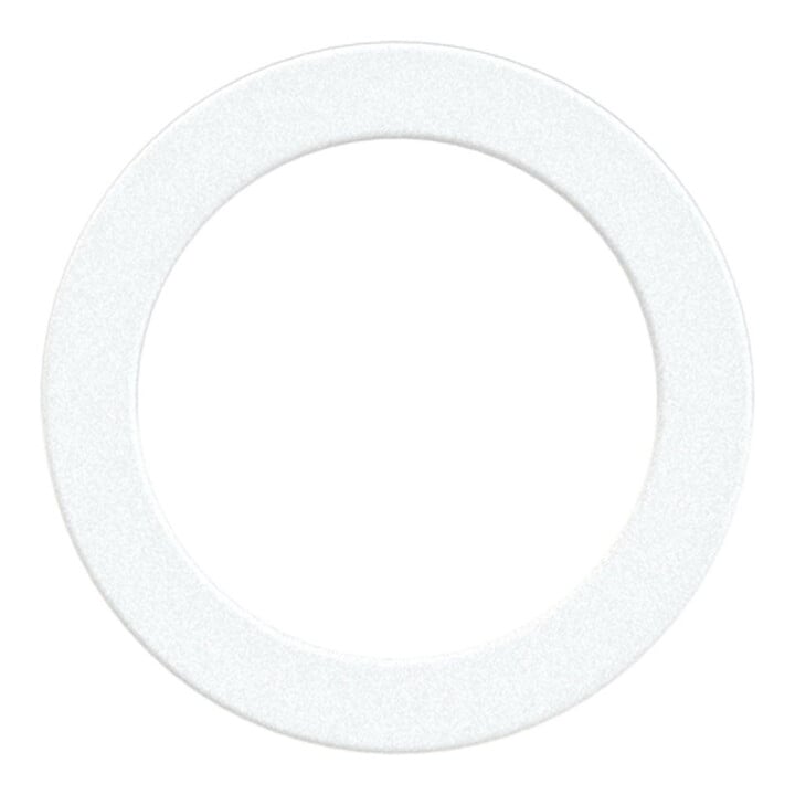 Riegler Dichtring aus PTFE, für Gewinde G 3/4, VPE 100 Stk.