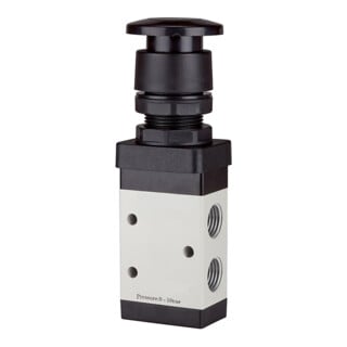 Riegler Vanne 3/2 voies manuelle champignon bouton noir