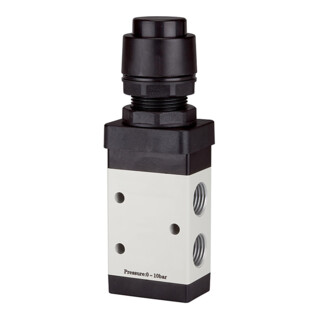 Bouton-poussoir manuel Riegler 3/2 voies noir