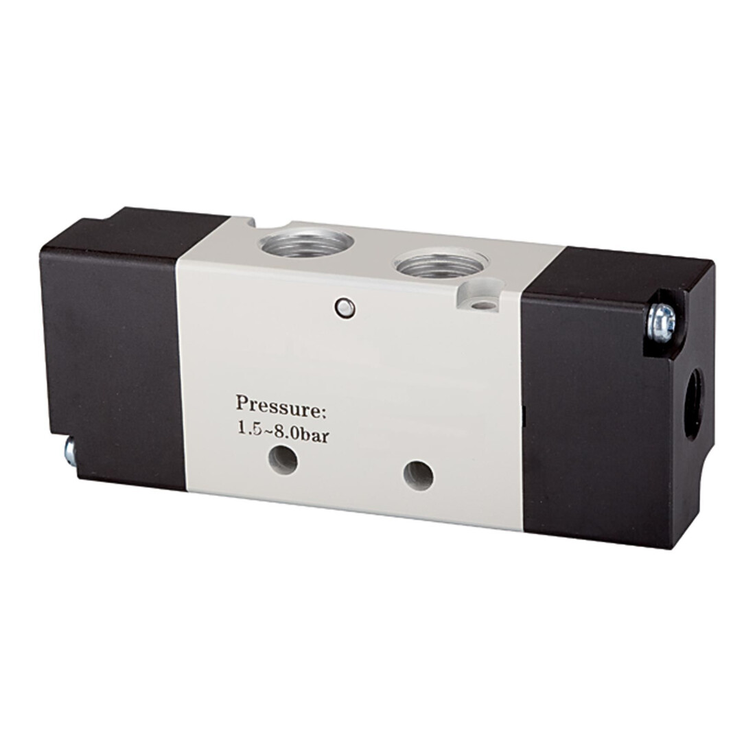 RIEGLER Distributeur 5/2 voies pneumatique 4A bistable G 1/8