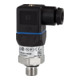 Riegler Druckmessumformer, Messber. 0-250,0 bar, G 1/4, CrNi-Stahl 1.4404-1