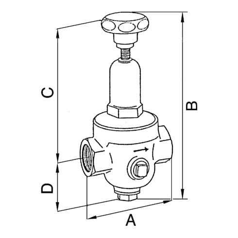 Riegler Druckregler DRV 250, Niederdruckausführung, G 1/2, 0,2 - 2 bar