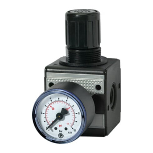 Riegler Druckregler  »multifix «, inkl. Manometer, BG 1, G 1/4, 0,5 -10 bar
