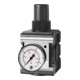 Riegler Druckregler »multifix«, inkl. Manometer, BG 4, G 1, 0,5 - 10 bar-1