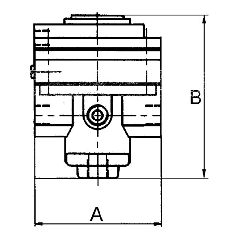 Riegler Druckregler pneumatisch ferngesteuert »Standard«, G 1 1/4