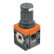 Riegler Druckregler »SYNTESI«, BG2, G 1, 0…2 bar, o. Mano.-1
