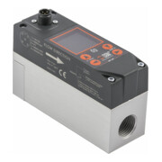 Riegler Durchflussmesser »FLUX«, BG 1, Display/Drucksensor-1