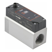 Riegler Durchflussmesser »FLUX«, BG 2, 0 … 10 V/4 … 20 mA-1