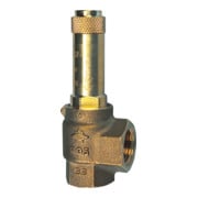 Riegler Eck-Sicherheitsventil, Sattdampf, G 1, Ansprechdruck 10 bar-1