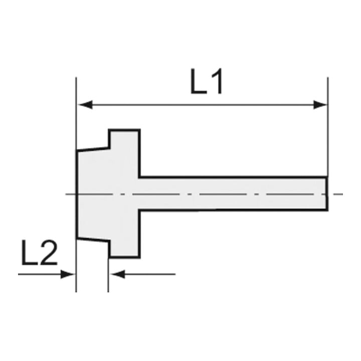 Riegler Einschraubschlauchtülle  »value line «, R 1/2, LW 12, MS vern.