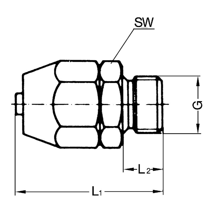 Riegler Einschraubverschraubung, für PVC-Pneumatikschlauch 11,6x9, G 3/8