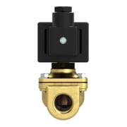 RIEGLER Electrovanne 2/2 voies MS NC à commande positive 24 V DC G 1/2-2