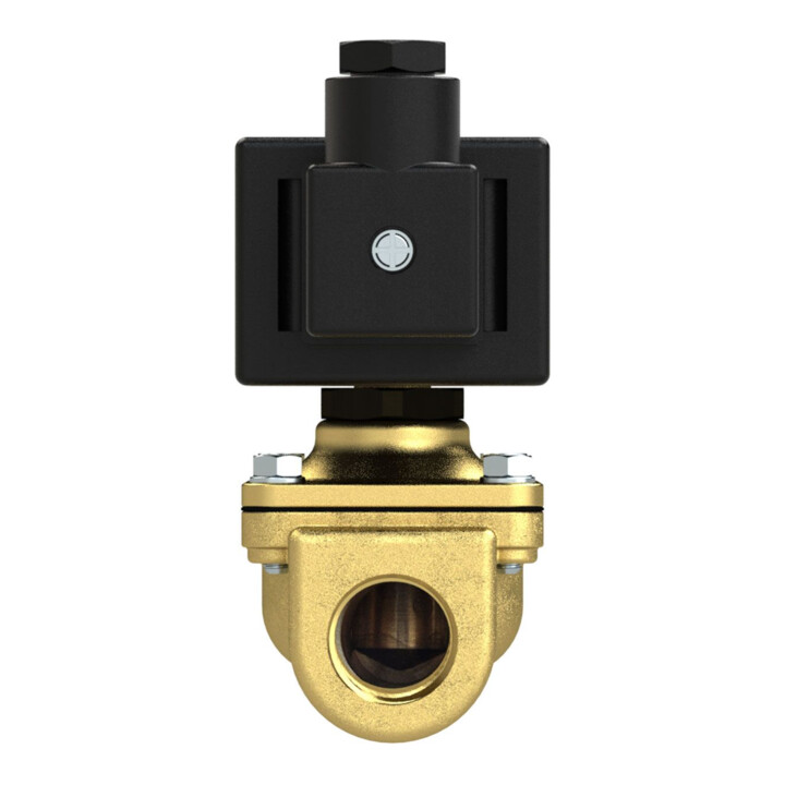 RIEGLER Electrovanne 2/2 voies MS NC à commande positive 24 V DC G 3/8