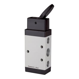 Riegler distributeur 5/2 voies manuel avec culbuteur