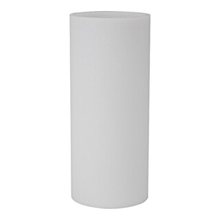 Riegler Élément filtrant 8 µm, Cellpor, pour filtre « Standard », BG 5