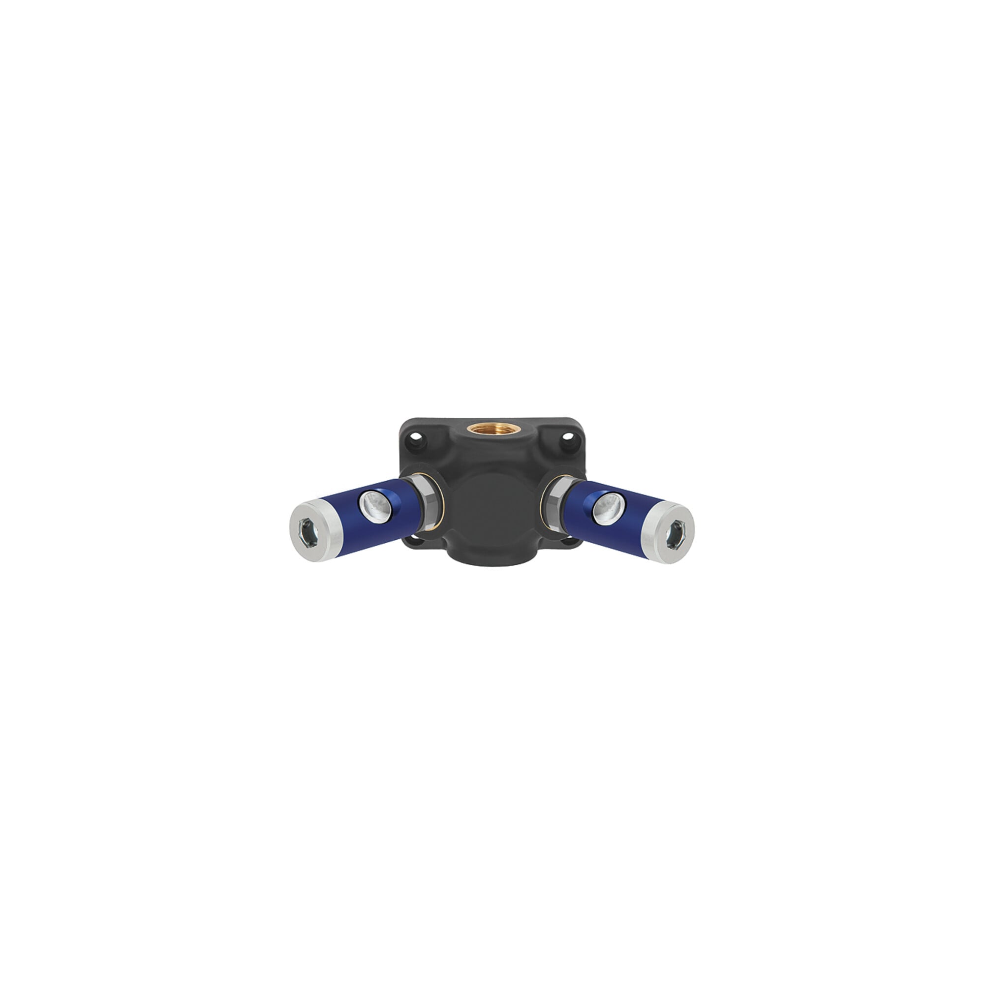 Riegler Endverteilerdose, 2 Sicherheitskpl. NW 7,4, Eing.G3/4, max.12 bar