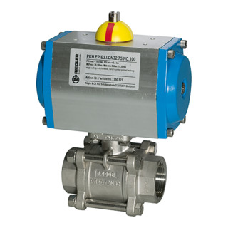 Riegler ES-Kuha, actionneur pneumatique simple effet, Rp 3/4, DN 20