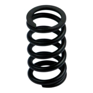 Riegler Feder »SYNTESI«, BG 2, 0 - 4 bar