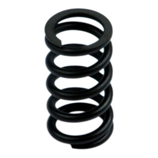 Riegler Feder »SYNTESI«, BG 2, 0 - 8 bar