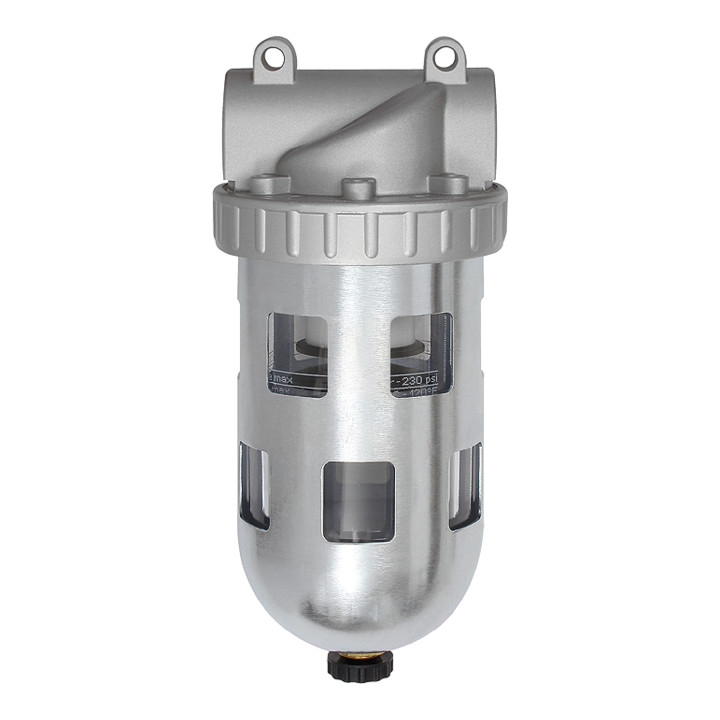 Riegler Filter  »Standard «, PC-Behälter, Schutzkorb, 40  µm, BG 4, G 1 1/2