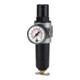 Riegler Filterregler  »multifix-mini «, Metallbehälter, G 1/4, 0,5 - 10 bar-1