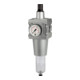 Riegler Filterregler »multifix«, PC-Behälter, BG 5, G 1, 0,5 - 10 bar, HA-1