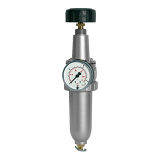 Riegler Filterregler  »Standard «, mit Metallbehälter, BG 1, G 3/8