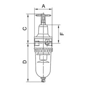 Riegler Filterregler »Standard«, PC-Behälter und Schutzkorb, BG 1, G 1/4