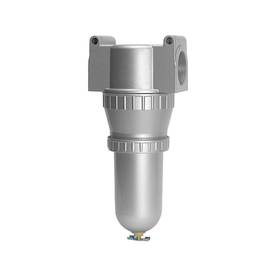 Riegler Filtre »Standard« avec récipient métal, 40 µm, BG 4, G 1 1/4