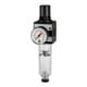 Riegler Filtro regolatore, filettatura interna Ø1/4"-1