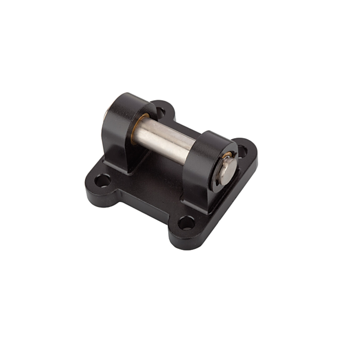 Riegler Fixation d'œil pivotant »CA/CB« Compact cylindre »ACP«, Ø piston 80