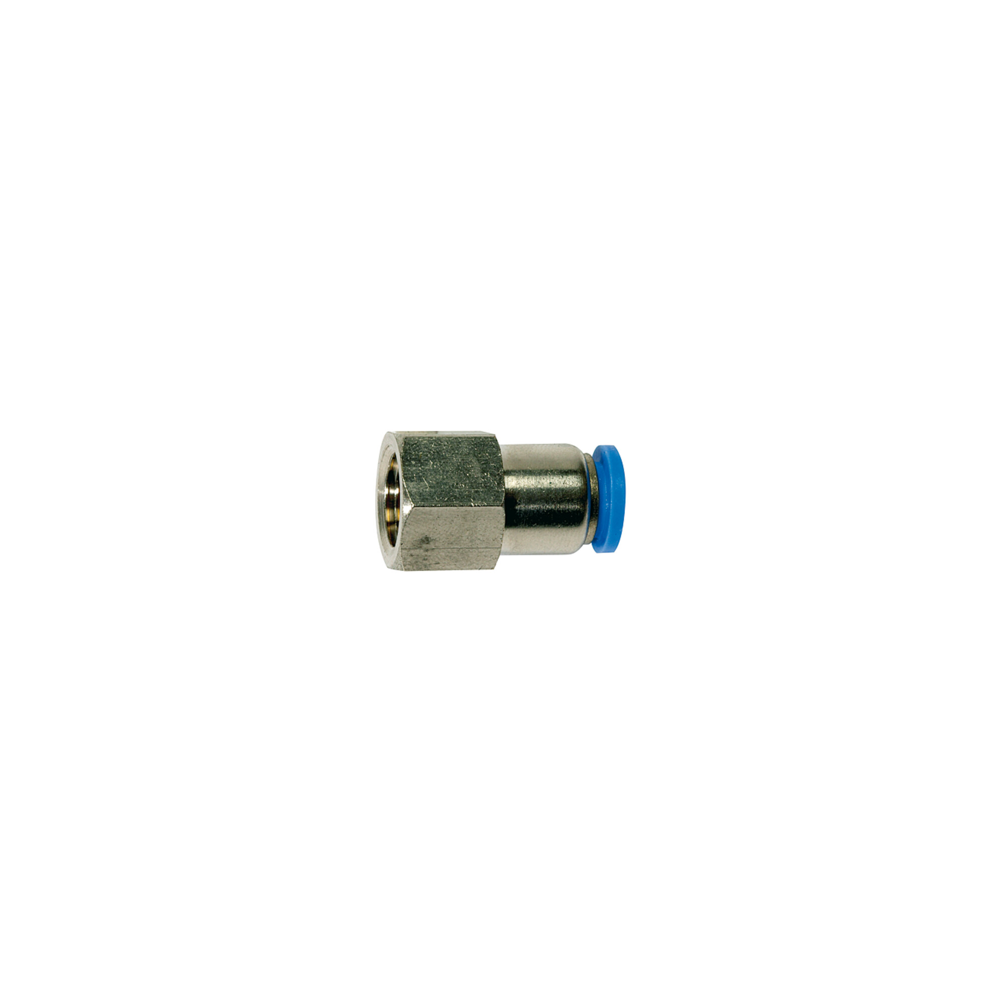 Riegler Gerade Steckverschraubung »Blaue Serie«, G 1/4 innen, Ã ̃ 6 mm