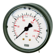 Riegler Glyzerinmano., Kunststoff, G 1/4 hinten zentr., 0-160,0 bar, Ã˜ 63