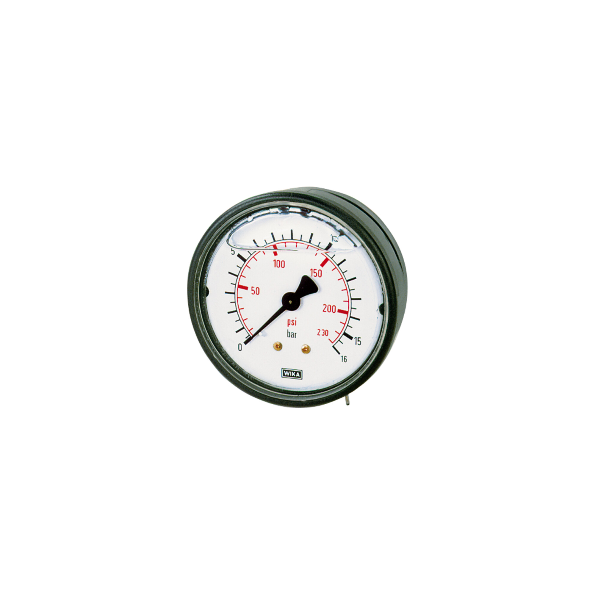 Riegler Glyzerinmano., Kunststoff, G 1/4 hinten zentr., 0 - 2,5 bar, Ã ̃ 63